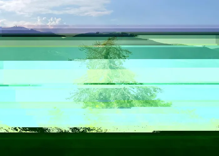 Casa Giovanna By Interhome * Ronco sopra Ascona